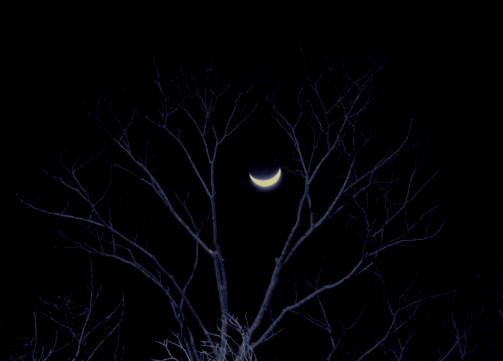 Moon in a Cage