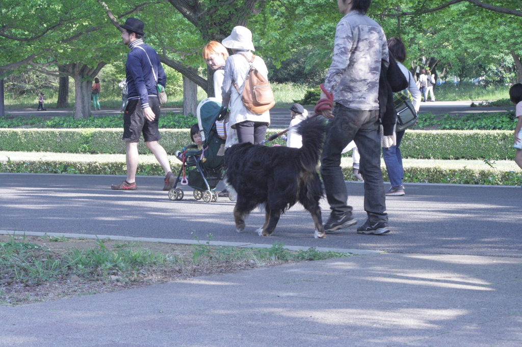 2013/05/05