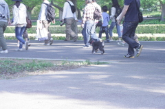 2013/05/05