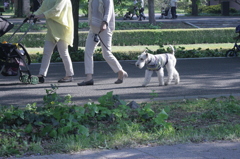 2013/05/05