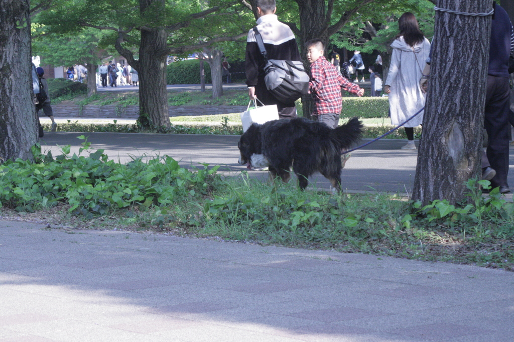 2013/05/05