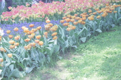 2013/05/05