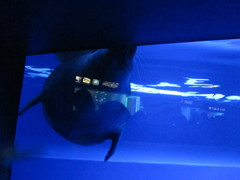 IMG_2013/02/10