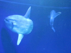 IMG_2013/02/10