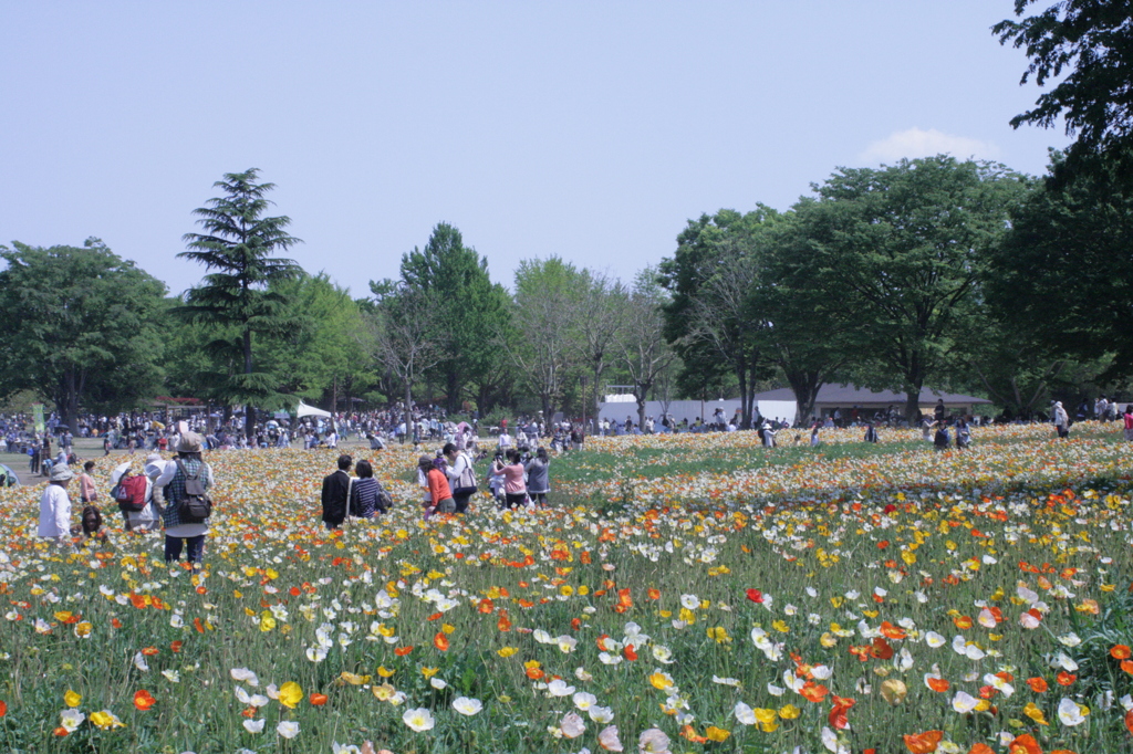 2013/05/05