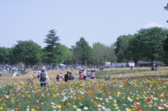 2013/05/05