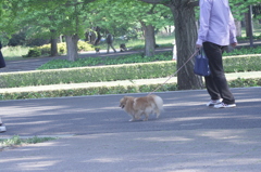 2013/05/05
