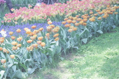 2013/05/05