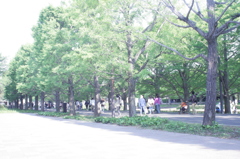 2013/05/05