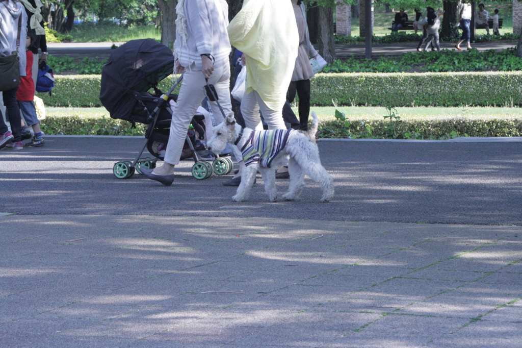 2013/05/05