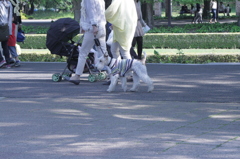 2013/05/05