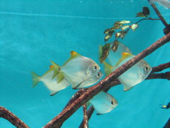 IMG_2013/02/10
