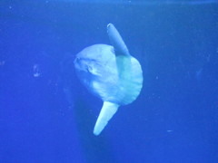 IMG_2013/02/10
