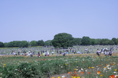 2013/05/05