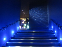 IMG_2013/02/10