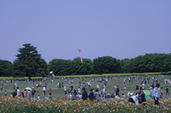 2013/05/05