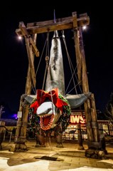 midnight USJ #6