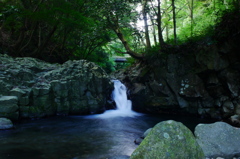 河津七滝巡り③