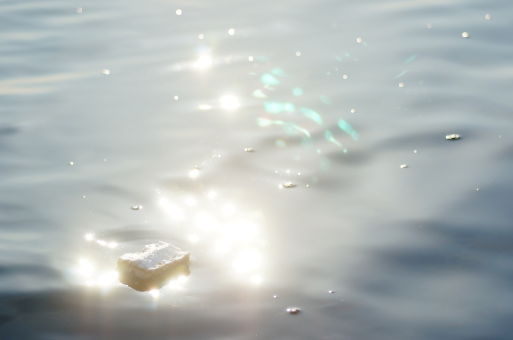 海に漂う