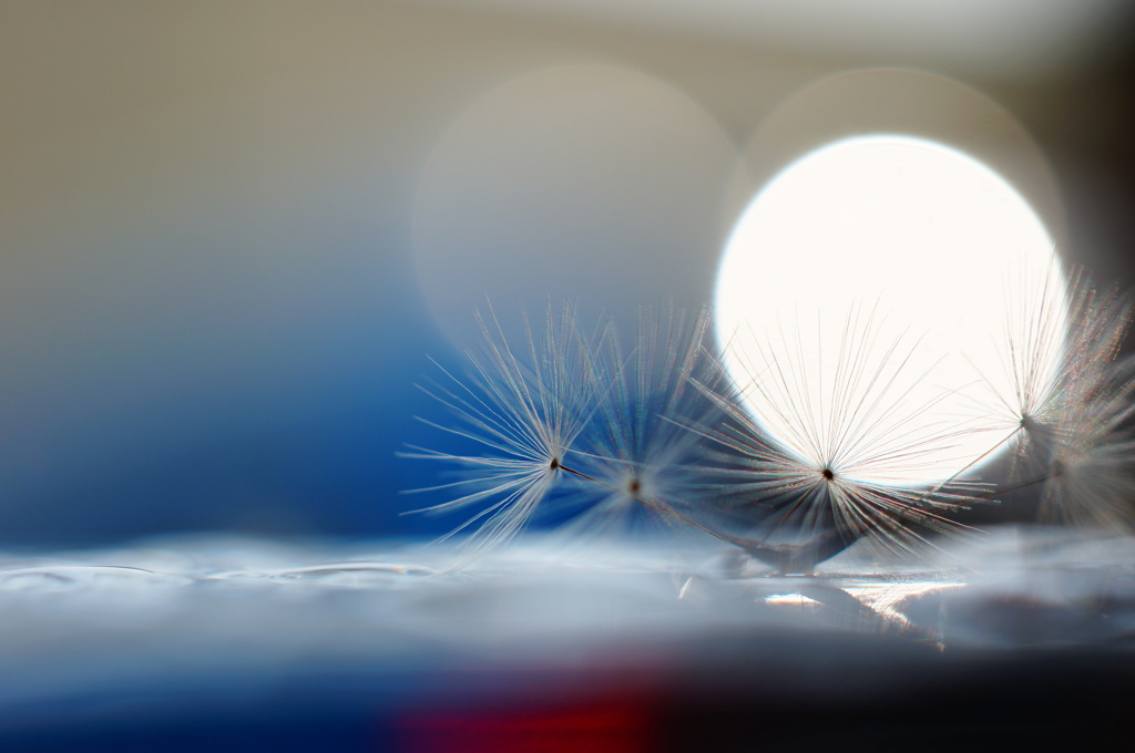 in the light