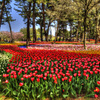 花園　絵画調HDR