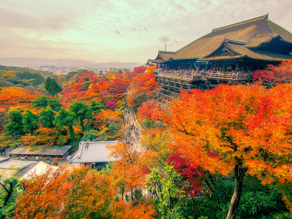 曇天の清水寺