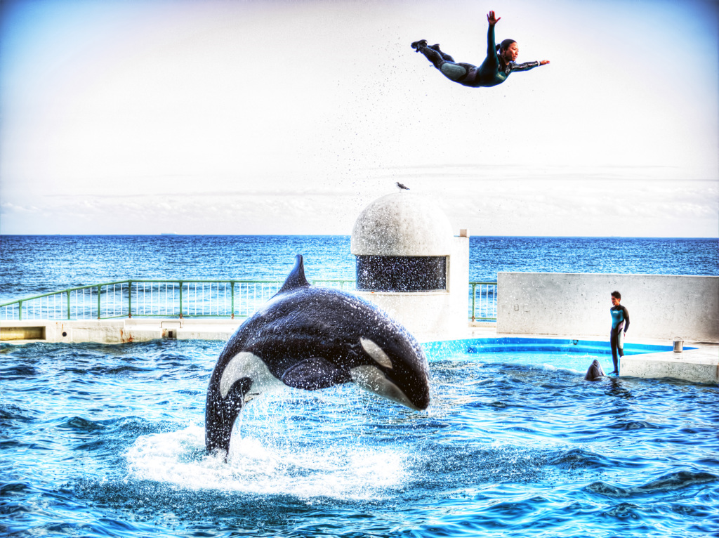 飛翔 - JUMPING Killer whale