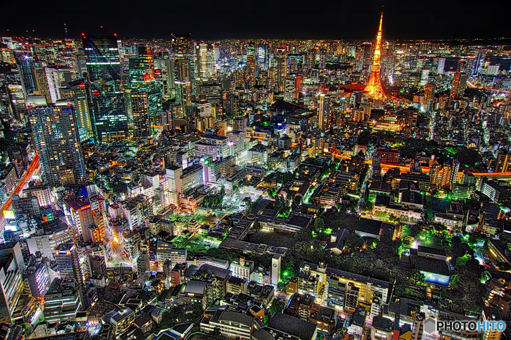 大地に輝く地上の星たち