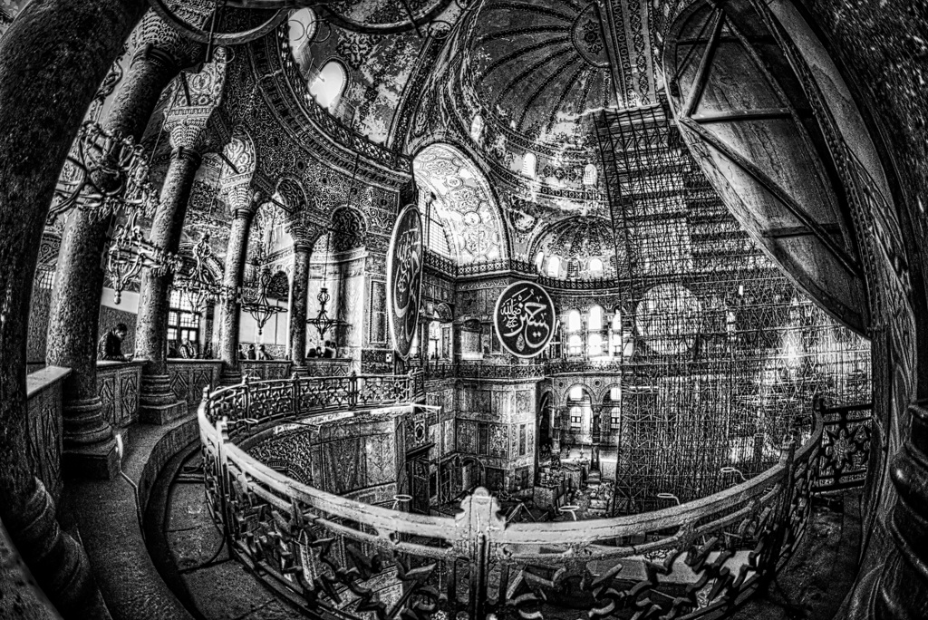 Forest of Architecture 構造の森の思いびと