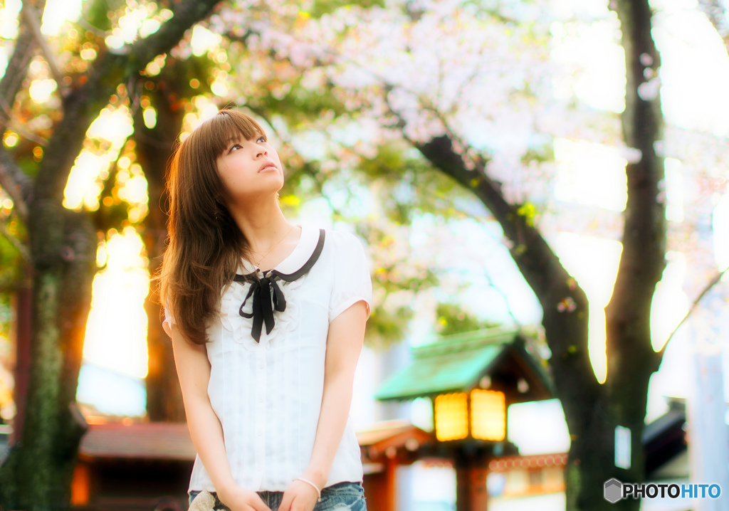 桜の季節の少女