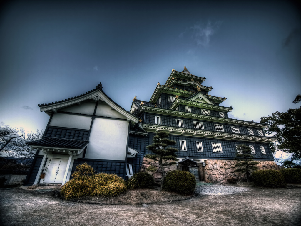 黒城の鴉 暗明の彩り　- 岡山城 そびえたつ