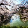 4月 -  芽吹く桜花の季節  -