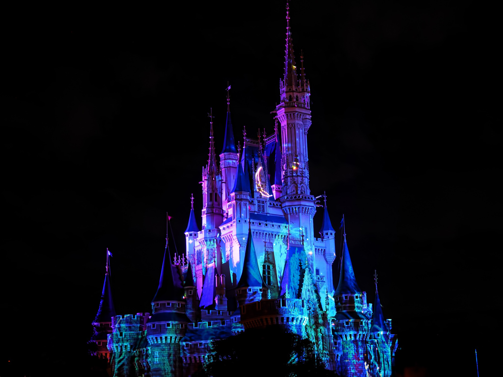 Light of Cinderella Castle