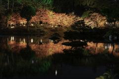 紅葉2