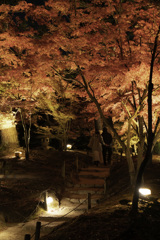 紅葉1