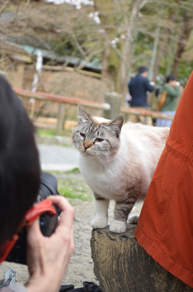 可愛く撮ってよね！