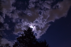 kumo