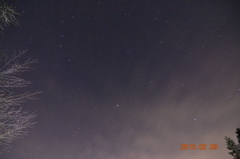 森の夜空