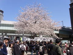 RICOH_RIMG0541_20120408_113333