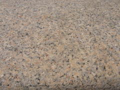 RICOH_RIMG0553_20120408_115151