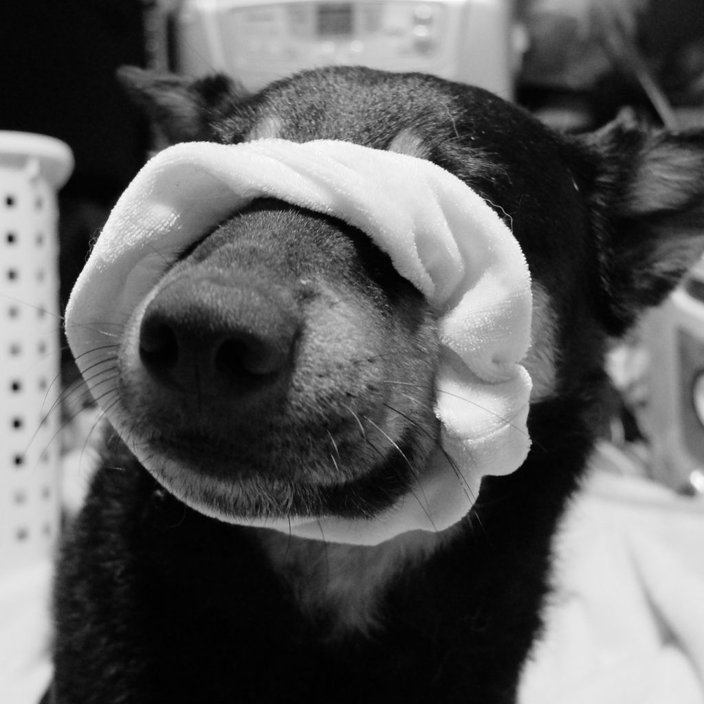 されるがまま．．．