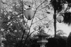 提灯