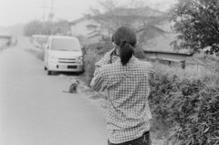 猫を撮る君を撮る