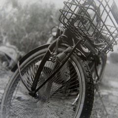 雨に濡れる自転車