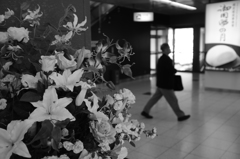 花とヒト