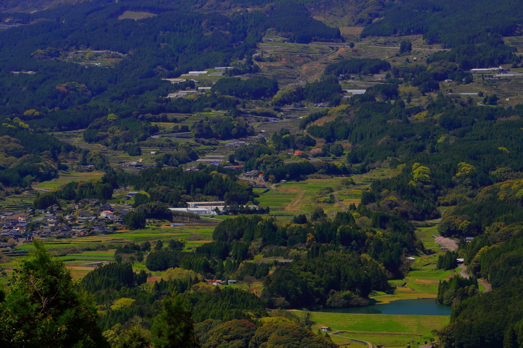 AE春の岳の棚田