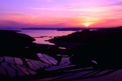 02唐津市肥前町上ヶ倉本谷の植田の夕景