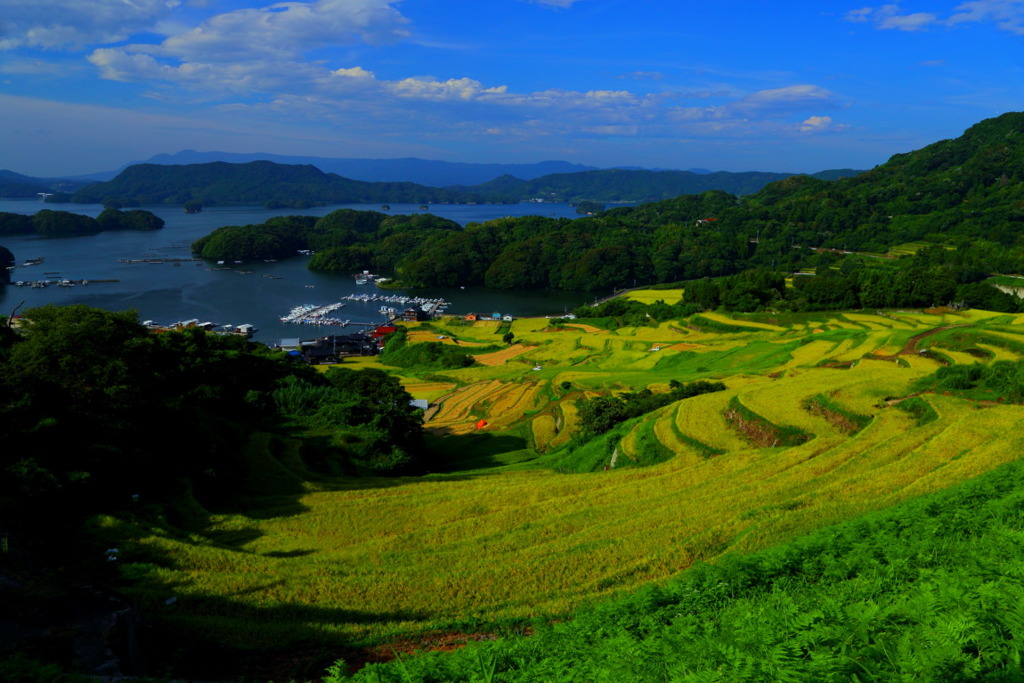 肥前町八月の大浦棚田