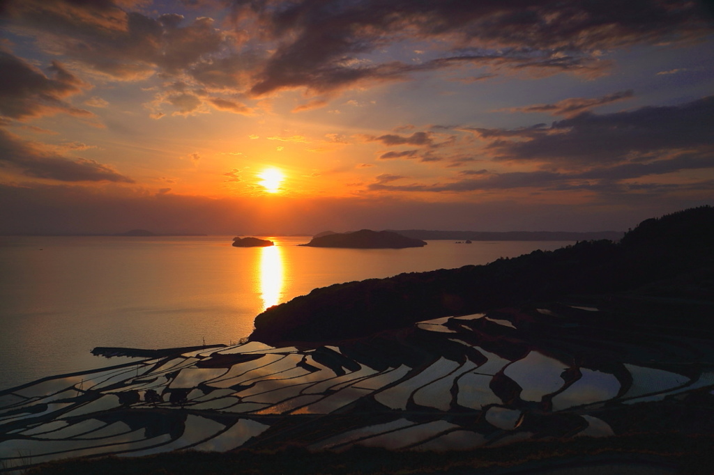 51S夏隣の土谷棚田