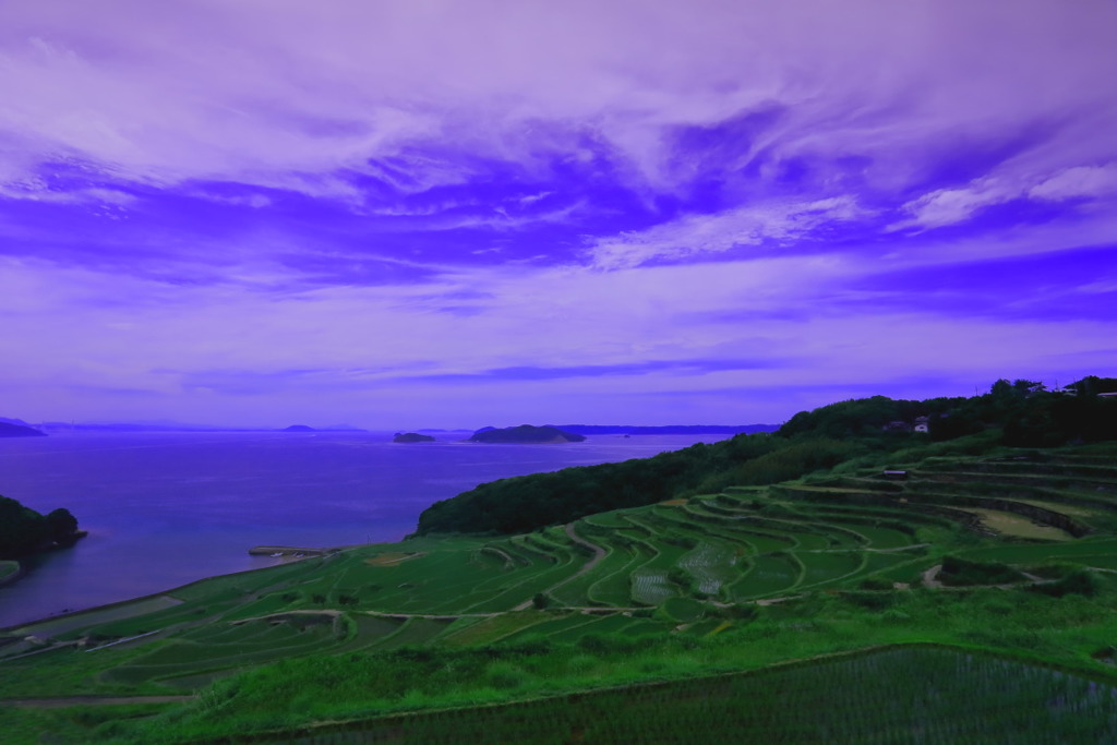 B2梅雨前の土谷棚田